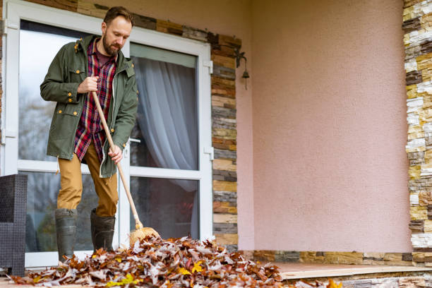 Trash Removal Near Me